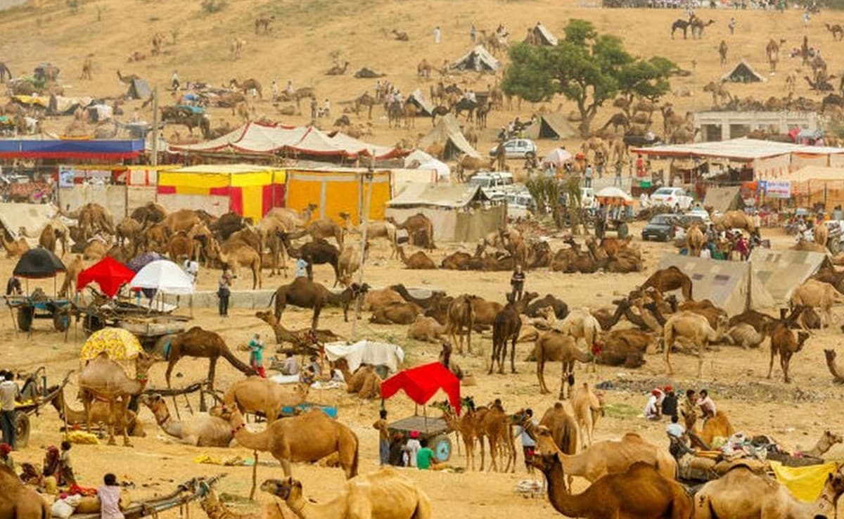 Jodhpur to Pushkar Taxi